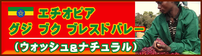  エチオピア グジ ブク ブレスドバレー　ナチュラル・ウォッシュ