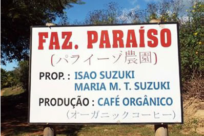 ブラジル 鈴木功 パライーゾ農園