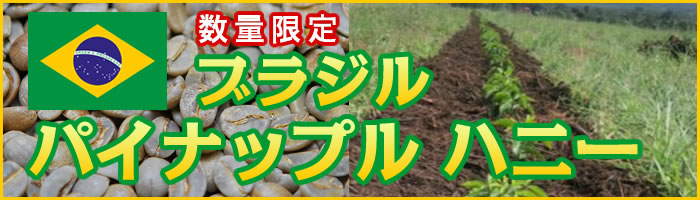 ブラジル　パイナップル ハニー