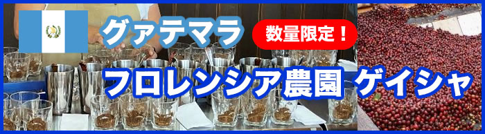 グァテマラ　フロレンシア農園　ゲイシャ