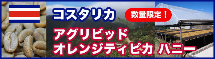 コスタリカ　アグリビッド　オレンジティピカ ハニー>