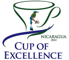 ニカラグア ディビナ・プロヴィデンシア農園 【Nicaragua Cup Of Excellence 2021】