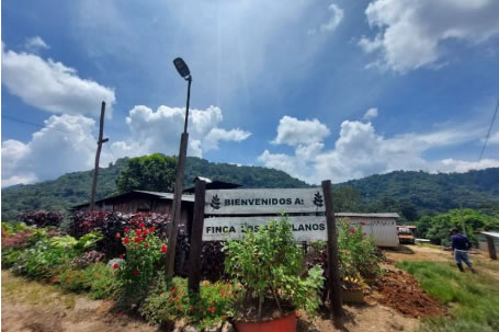 ニカラグア　ロス・アルティプラノス農園 【Nicaragua Cup Of Excellence 2025】