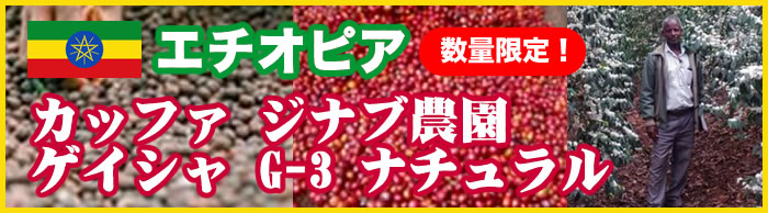 エチオピア　カッファ ジナブ農園 ゲイシャ G-3 ナチュラル