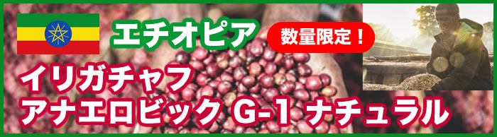 エチオピア　イリガチャフ アナエロビック G-1 ナチュラル