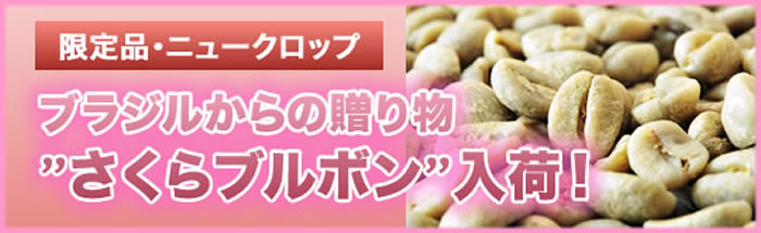 ブラジル さくらブルボン